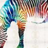 Colorful Zebra Paint By Numbers