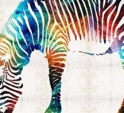 Colorful Zebra Paint By Numbers