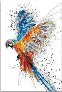 Coloring Parrot Paint By Numbers