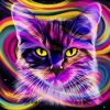 Colors Cat Paint By Numbers