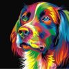 Colors Dog Paint By Numbers