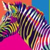 Colors Zebra Paint By Numbers