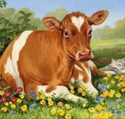 Cows and Cat Paint By Numbers