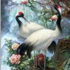 Crowned Cranes Paint By Numbers