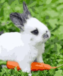 Cute Bunny Paint By Numbers