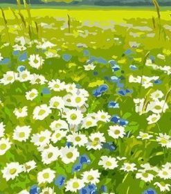 Daisies Field Paint By Numbers