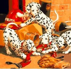 Dalmatian Dogs Paint By Numbers