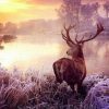 Deer By River Paint By Numbers