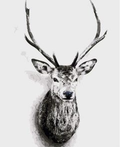 Deer Portrait Paint By Numbers