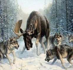 Deer Vs Wolves Paint By Numbers