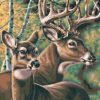 Deers Animals Paint By Numbers