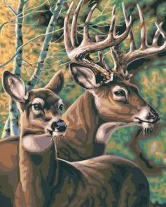 Deers Animals Paint By Numbers