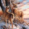 Deers Paint By Numbers