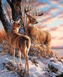 Deers Paint By Numbers