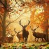 Deers in Forest Paint By Numbers