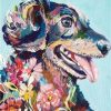 Dog Portrait Paint By Numbers