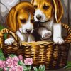 Dog Puppies Paint By Numbers