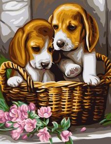 Dog Puppies Paint By Numbers