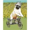 Dog in Tricycle Paint By Numbers