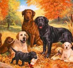 Dogs Family Paint By Numbers