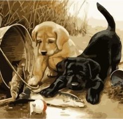 Dogs Fishing Paint By Numbers