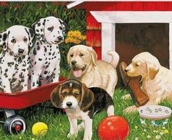 Dogs In Backyard Paint By Numbers