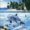 Dolphin In Beach Paint By Numbers