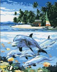 Dolphin In Beach Paint By Numbers