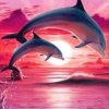 Dolphin Sunset Paint By Numbers