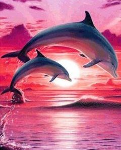 Dolphin Sunset Paint By Numbers