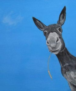 Donkey Portrait Paint By Numbers