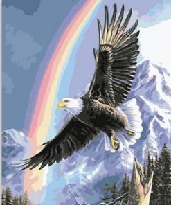 Eagle Rainbow Paint By Numbers