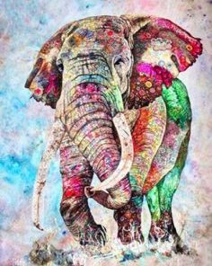 Elephant Animal Paint By Numbers