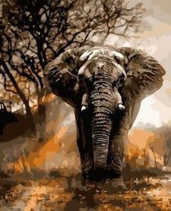 Elephant Animal Paint By Numbers