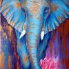 Elephant Animals Paint By Numbers