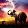 Elephant Sunset Paint By Numbers