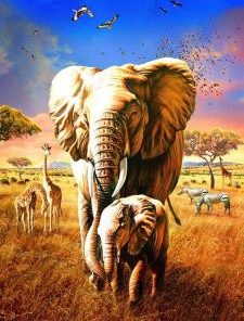 Elephant and Son Paint By Numbers