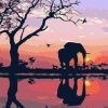 Elephant in Sunset Paint By Numbers