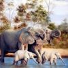 Elephants Family Paint By Numbers