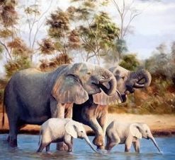 Elephants Family Paint By Numbers