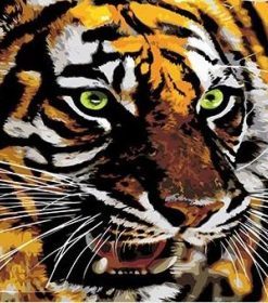 Eyes of Tiger Paint By Numbers