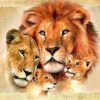 Family of Lion Paint By Numbers