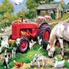 Farm Animals Paint By Numbers