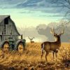 Farm Deer Paint By Numbers