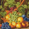 Farm Fruits Paint By Numbers