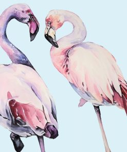 Female Flamingos Paint By Numbers