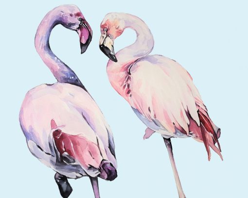 Female Flamingos Paint By Numbers