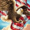 Flag Eagle Paint By Numbers