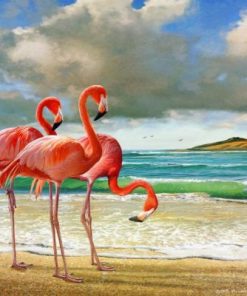 Flamingo At Beach Paint By Numbers