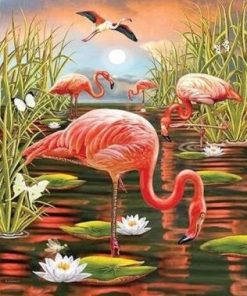 Flamingo in Swamp Paint By Numbers